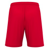 Шорты спортивные MACRON GALAX SHORT RED
