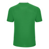 Футболка спортивная MACRON SHEDIR SHIRT GREEN/WHITE