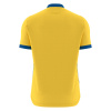 Футболка спортивная MACRON WYVERN ECO SHIRT YELLOW/ROYAL BLUE