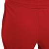 Шорты спортивные MACRON BARIUM WOMAN SHORT RED