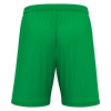 Шорты спортивные MACRON GALAX SHORT GREEN