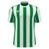 Футболка спортивная MACRON LEGION SHIRT GREEN/WHITE