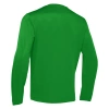 Толстовка тренировочная MACRON SALZACH TRAINING TOP GREEN