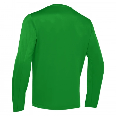 Толстовка тренировочная MACRON SALZACH TRAINING TOP GREEN