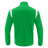Толстовка тренировочная MACRON GANGE TRAINING 1/4 ZIP TOP GREEN/WHITE