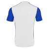 Футболка спортивная MACRON WEZEN SHIRT WHITE/ROYAL BLUE