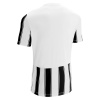 Футболка спортивная MACRON SCEPTRUM SHIRT WHITE/BLACK