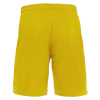 Шорты спортивные MACRON MESA HERO SHORT YELLOW