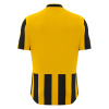 Футболка спортивная MACRON LEGION SHIRT YELLOW/BLACK