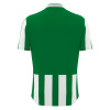 Футболка спортивная MACRON LEGION SHIRT GREEN/WHITE