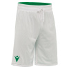 Шорты спортивные MACRON DENVER HERO SHORT REVERSIBLE GREEN/WHITE