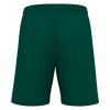 Шорты спортивные MACRON GALAX SHORT BOTTLE GREEN