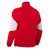 Толстовка тренировочная MACRON CUZCO TRAINING 1/4 ZIP TOP RED/WHITE