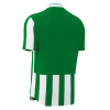 Футболка спортивная MACRON LEGION SHIRT GREEN/WHITE