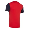Футболка спортивная MACRON DENEB SHIRT RED/NAVY/WHITE