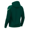 Худи спортивное ALCHEMIST HOODED SWEATSHIRT BOTTLE GREEN/MINT