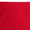 Шорты спортивные MACRON BISMUTH SHORT RED
