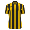 Футболка спортивная MACRON LEGION SHIRT YELLOW/BLACK