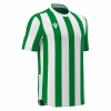 Футболка спортивная MACRON LEGION SHIRT GREEN/WHITE