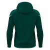 Худи спортивное ALCHEMIST HOODED SWEATSHIRT BOTTLE GREEN/MINT