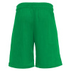 Шорты спортивные MACRON DENVER HERO SHORT REVERSIBLE GREEN/WHITE