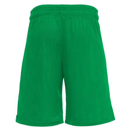 Шорты спортивные MACRON DENVER HERO SHORT REVERSIBLE GREEN/WHITE