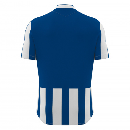Футболка спортивная MACRON LEGION SHIRT ROYAL BLUE/WHITE