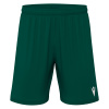 Шорты спортивные MACRON GALAX SHORT BOTTLE GREEN