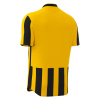 Футболка спортивная MACRON LEGION SHIRT YELLOW/BLACK