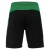 Шорты спортивные MACRON TEMPEL SHORT BLACK/GREEN