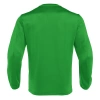 Толстовка тренировочная MACRON SALZACH TRAINING TOP GREEN