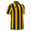 Футболка спортивная MACRON LEGION SHIRT YELLOW/BLACK