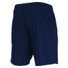 Шорты спортивные MACRON MESA HERO SHORT NAVY
