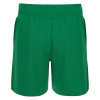 Шорты спортивные MACRON PLATINUM ECO WOMAN SHORT GREEN/WHITE