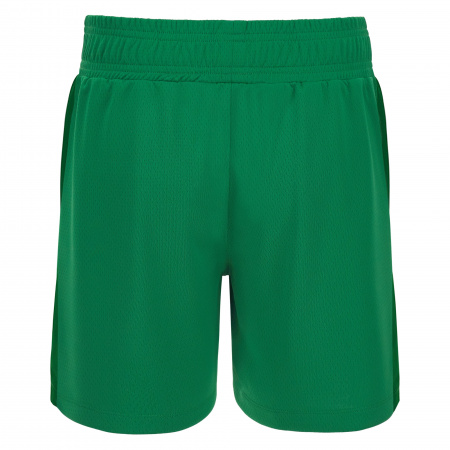 Шорты спортивные MACRON PLATINUM ECO WOMAN SHORT GREEN/WHITE