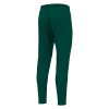 Брюки тренировочные MACRON ARCHEN TRAINING PANT BOTTLE GREEN