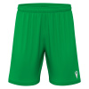 Шорты спортивные MACRON GALAX SHORT GREEN