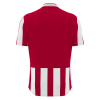 Футболка спортивная MACRON LEGION SHIRT RED/WHITE