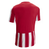 Футболка спортивная MACRON SCEPTRUM SHIRT RED/WHITE