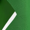 Поло парадное MACRON RAP POLO GREEN/WHITE