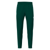 Брюки тренировочные MACRON ARCHEN TRAINING PANT BOTTLE GREEN
