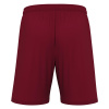 Шорты спортивные MACRON GALAX SHORT CARDINAL