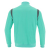 Олимпийка спортивная MACRON BENDIS MICRO FULL LENGTH ZIP TOP TURQUOISE/ANTHRACITE