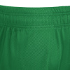 Шорты спортивные MACRON DENVER HERO SHORT REVERSIBLE GREEN/WHITE
