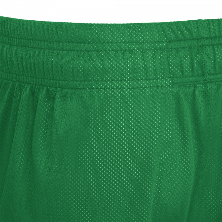 Шорты спортивные MACRON DENVER HERO SHORT REVERSIBLE GREEN/WHITE