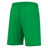 Шорты спортивные MACRON GALAX SHORT GREEN