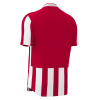 Футболка спортивная MACRON LEGION SHIRT RED/WHITE