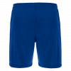 Шорты спортивные MACRON SKARA ECO SHORTS ROYAL BLUE/WHITE