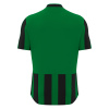 Футболка спортивная MACRON LEGION SHIRT GREEN/BLACK