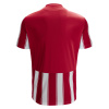 Футболка спортивная MACRON SCEPTRUM SHIRT RED/WHITE